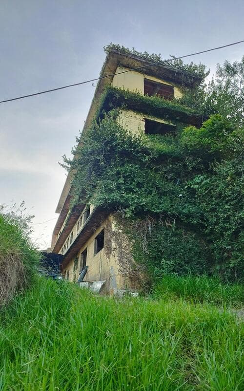 miniatura-0